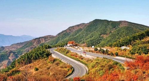 驰骋浙里，挑战自我 浙江三条绝美盘山公路与铁路隔离栅的守护