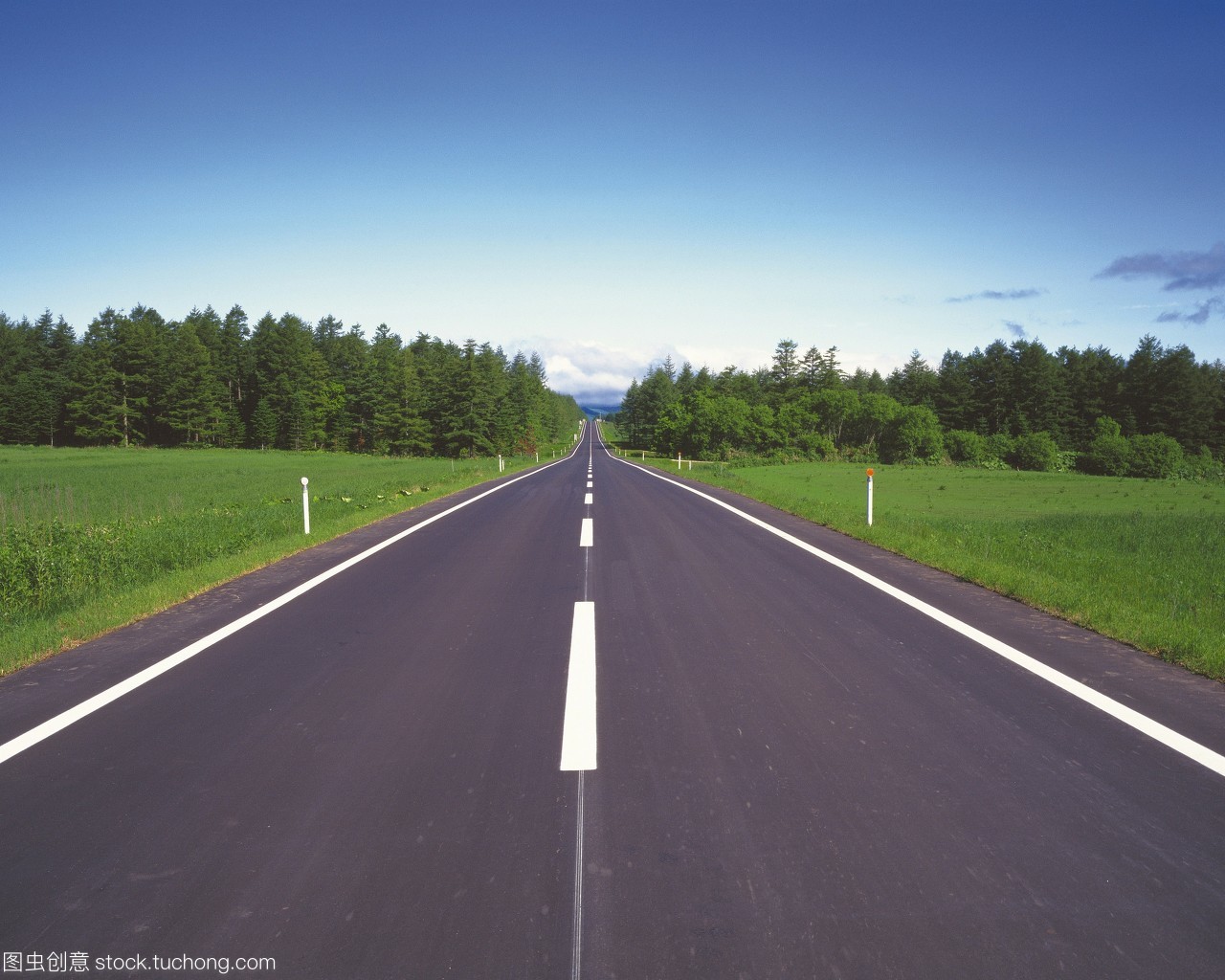 穿行于晴空之下 一条笔直公路的自然诗篇